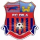 Logo Dila Gori
