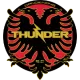 Logo Dandenong Thunder